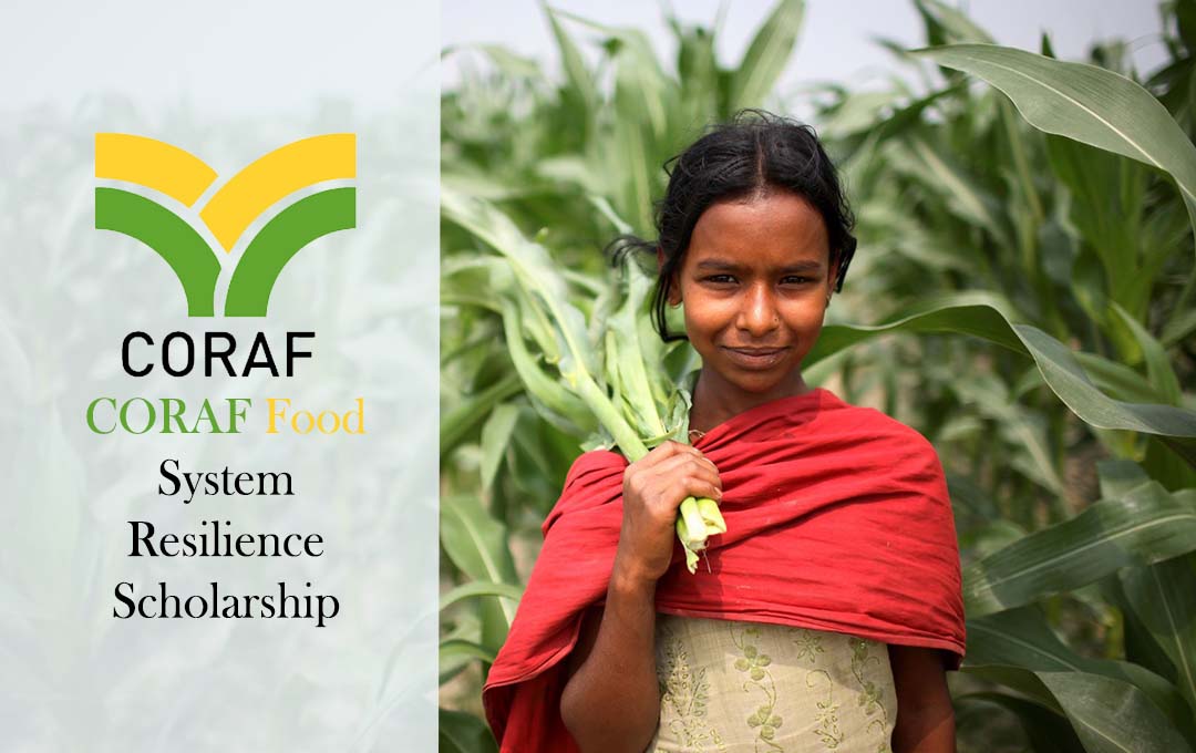 CORAF Food System Resilience Scholarship 