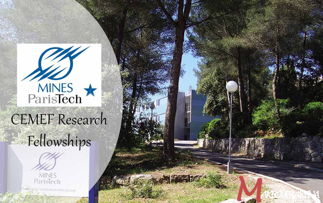 CEMEF Research Fellowships