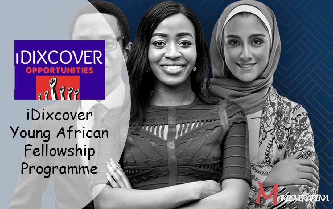 iDixcover Young African Fellowship Programme 