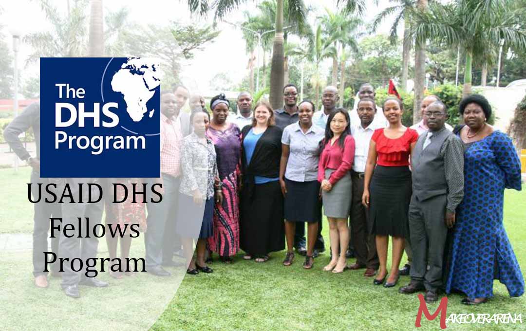 USAID DHS Fellows Program 