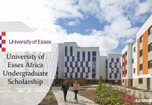University of Essex Africa Undergraduate Scholarship