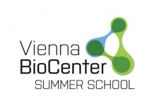 Vienna BioCenter Summer School