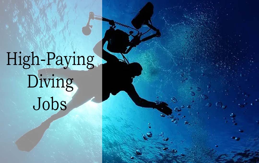 High Paying Diving Jobs