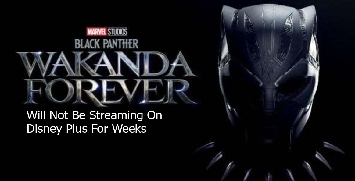 Wakanda Forever Will Not Be Streaming On Disney Plus For Weeks