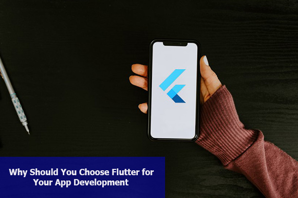 Why Should You Choose Flutter for Your App Development