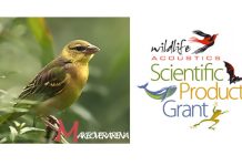 Wildlife Acoustics Scientific Product Grant