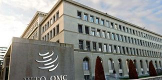 World Trade Organization WTO Internship