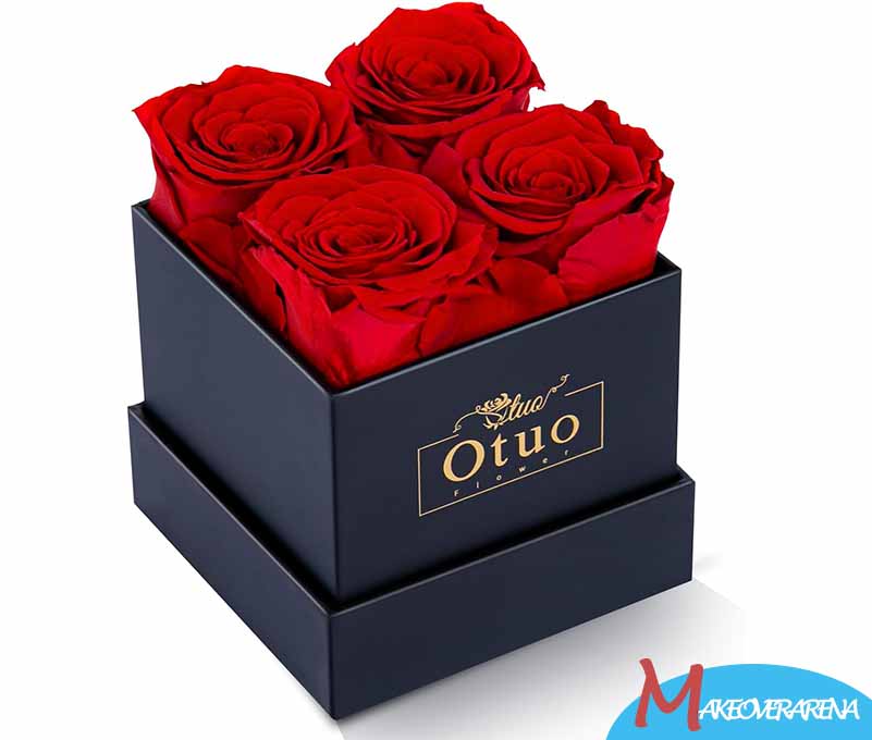 Otuo Preserved Roses in Gift Box